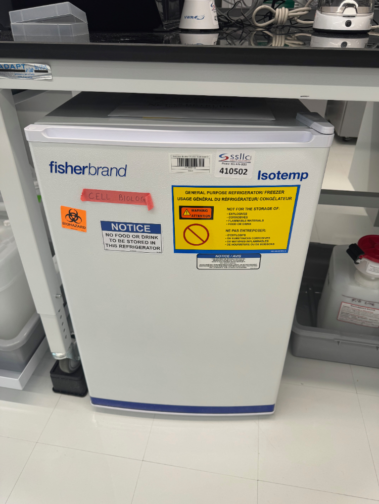 Image of Fisherbrand Isotemp Undercounter Freezer